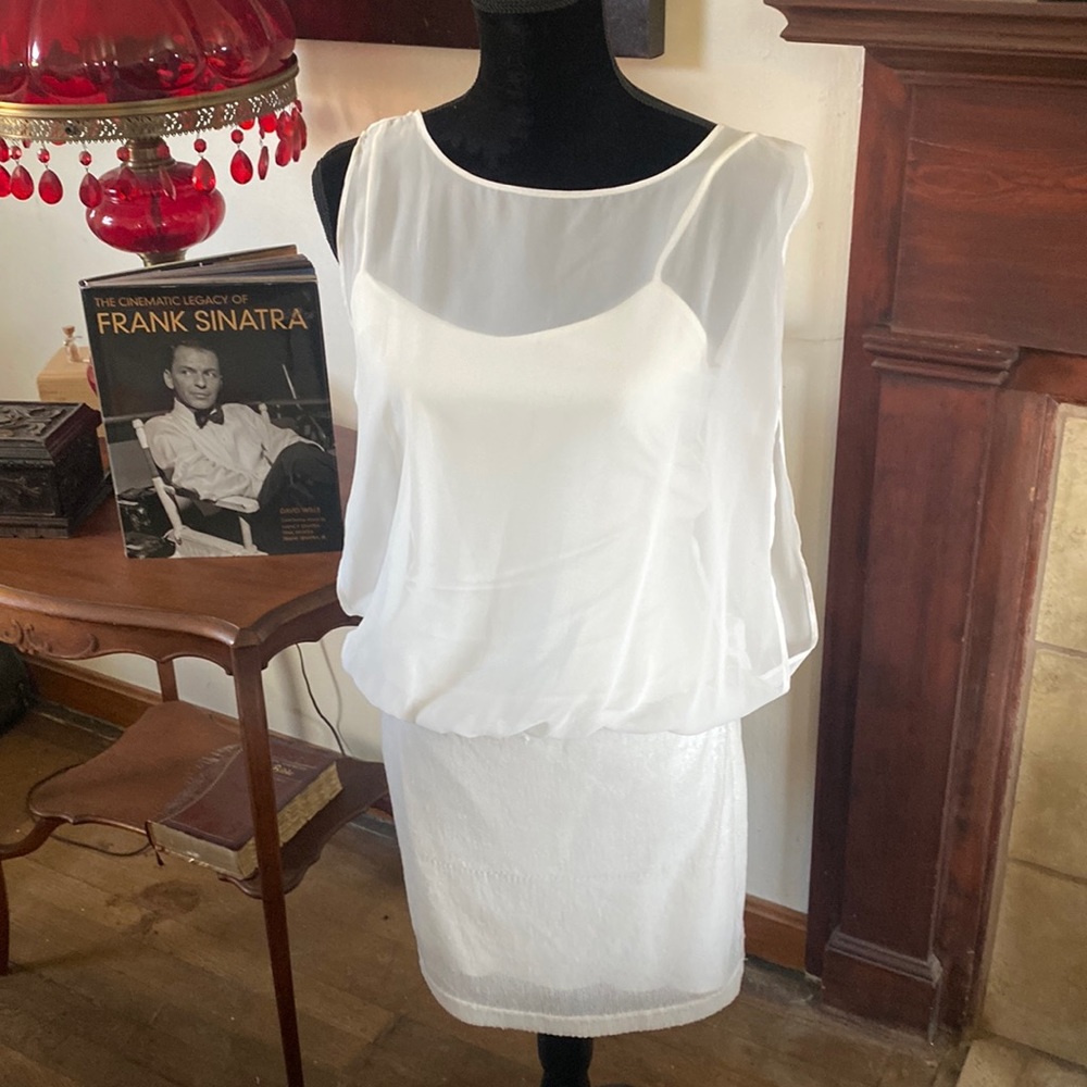 🦊 B Smart cream dress. Half body is sequined.
